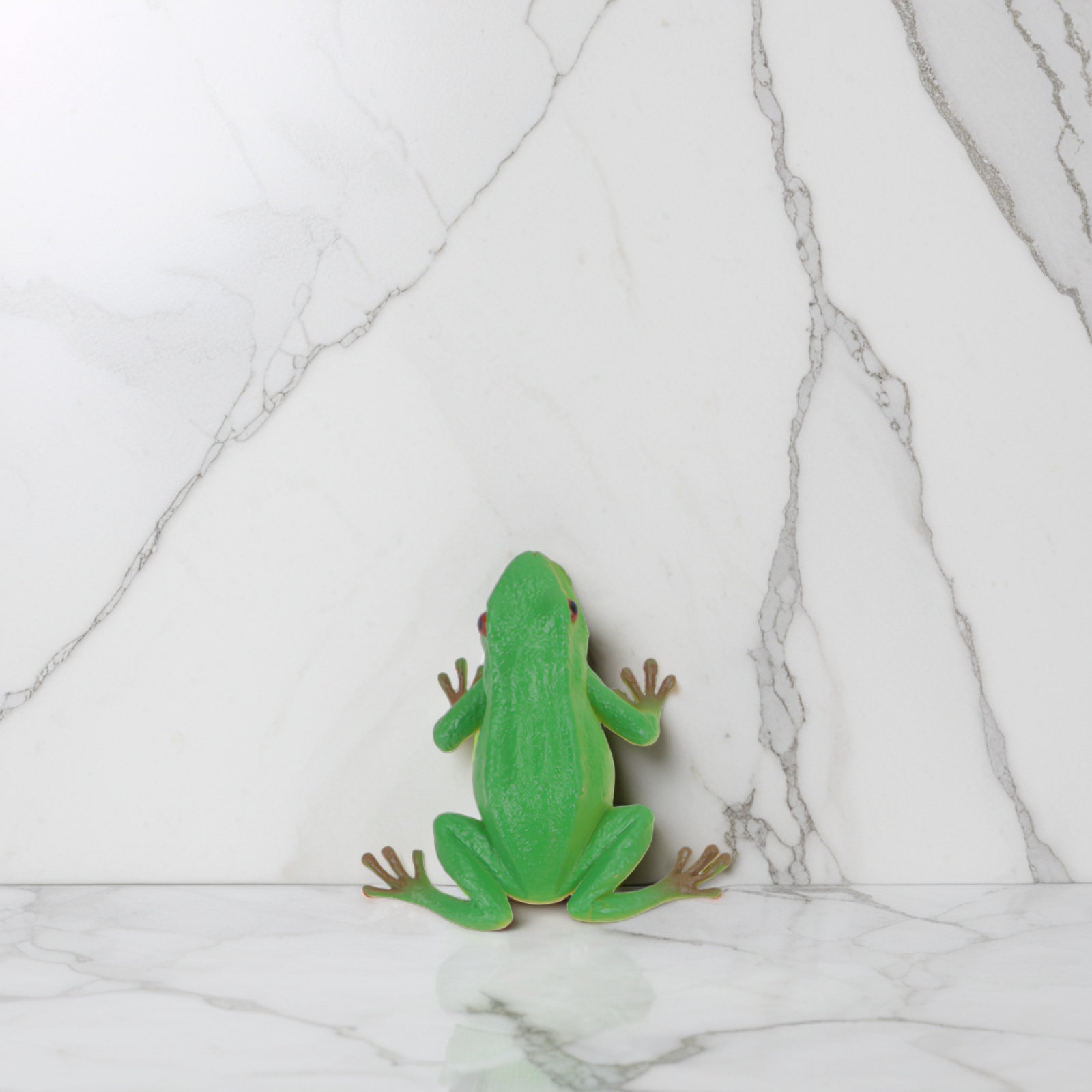 4Pcs Sounding Frog Prank Plast - Kids Toys Vehicle ulasan dan harga