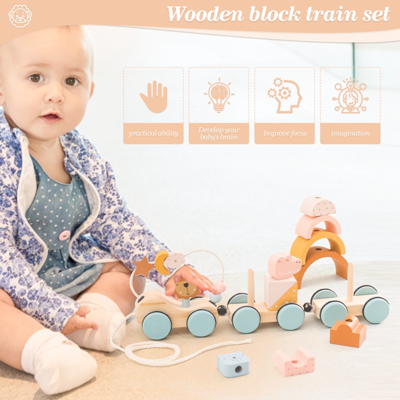 Wooden Montessori Toys Animal  - Kids Toys 2 Year Old ulasan dan harga